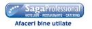 Saga Professional Import 2002